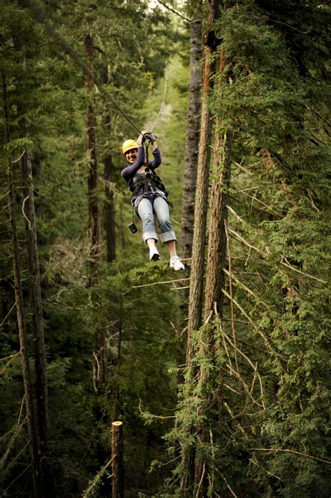 Your zip line adventure helps to feed and shelter someone experiencing homelessness! Sonoma canopy tour | Zipline adventure, Ziplining