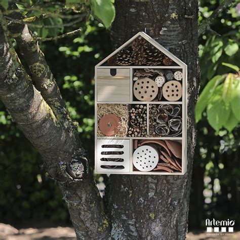 Fabriquez Votre Propre Hôtel à Insectes Avec Notre Maison En Bois Et
