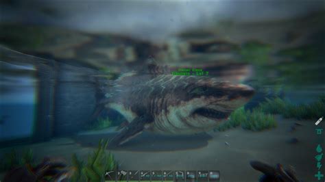 Image - ARK-Megalodon Screenshot 004.jpg | ARK: Survival Evolved Wiki