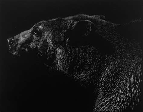 A Black And White Photo Of A Bear In The Dark