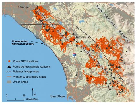 Mountain Lions In California Map | Printable Maps