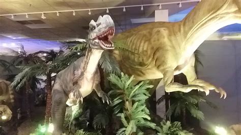 Sloan Museum Dinosaurs Unearthed Exhibit Youtube
