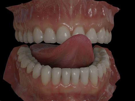 Zbrush Anatomy Sculpture Mouth Anatomy