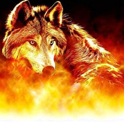 Wallpaper Pictures Wolf