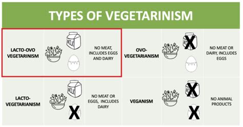 Vegetarianism For A Long Life Center For Healthy Aging