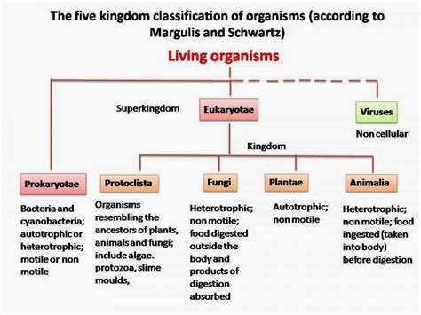 Classification Of Living Organisms Five Kingdom Syste