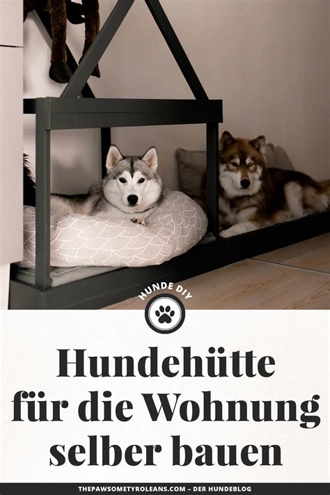Was erwartet mich mit einem husky ? So einfach kann man sich eine moderne Hundehütte für die ...
