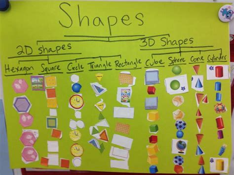 Shapes Tree Map Kindergarten 2d And 3d Shapes Common Core Jessie Prest