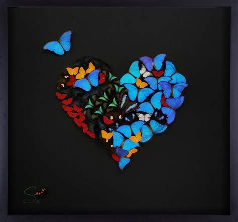 Heart Of Butterflies Black Sn Eden Gallery