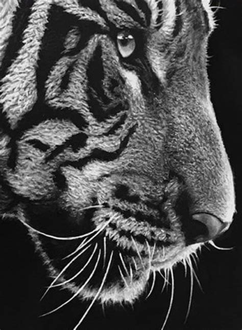 Black And White Tiger Painting By Nick Sider Black And White Painting