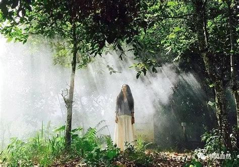 We did not find results for: 不讓女兒上學，卻要打造雨林生活方式，大陸三毛和她的15畝莊園驚艷了世界 - 每日頭條
