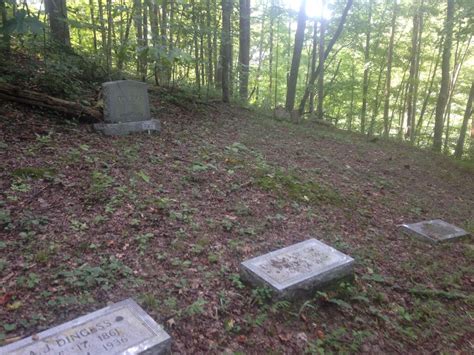Dingess Cemetery In Dingess West Virginia Find A Grave Friedhof