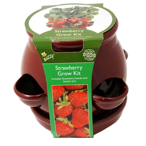 Plan on watering 1 to 2 times daily when then weather. Shop Buzzy Strawberry Pot - Red at Lowes.com