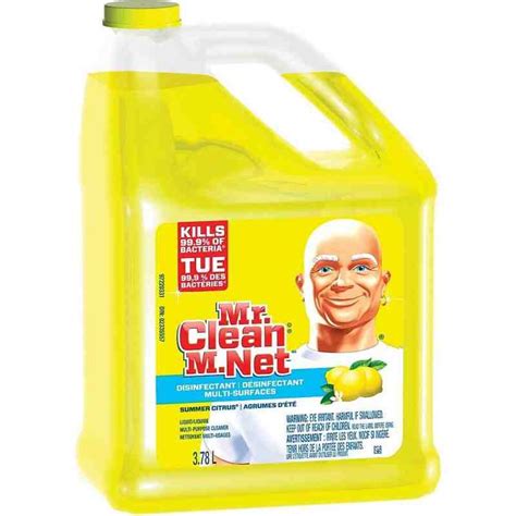 Mr Clean Multi Surfaces Disinfectant Liquid Summer Citrus L Case Of X L
