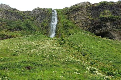 Island Wasserfall Natur Kostenloses Foto Auf Pixabay Pixabay