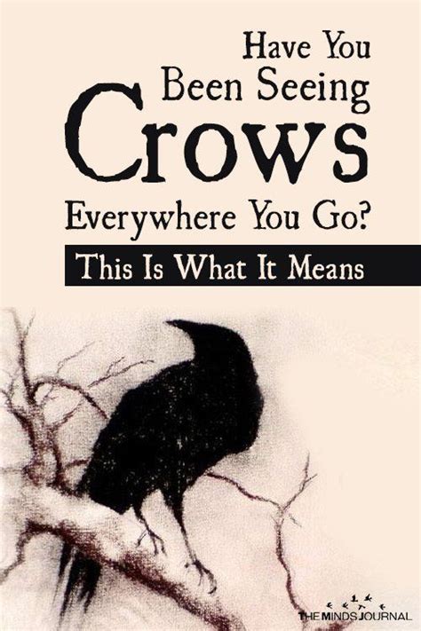 View What Does A Murder Of Crows Mean Images Air Bird