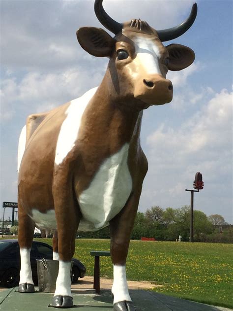 big cow statue in janesville wi offbeat art cow