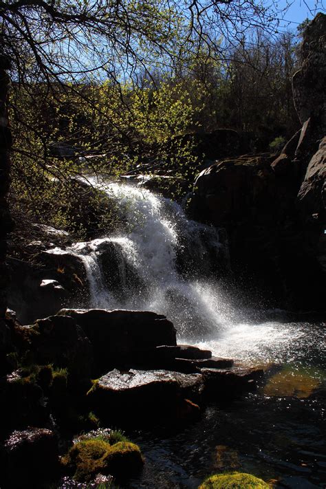 Free Images Landscape Tree Nature Forest Rock Waterfall