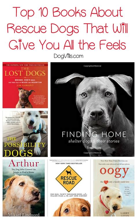 Top 10 Books About Rescue Dogs That Will Give You All The