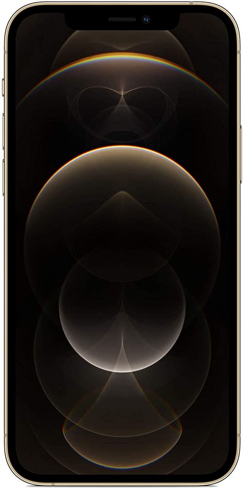 Apple Iphone 12 Pro Max 256gb Phone 5g Gold Mtajrs