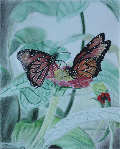25 realistic colored pencil landscapes drawings butterflies. 18+ Butterfly Drawings, Art Ideas | Design Trends ...