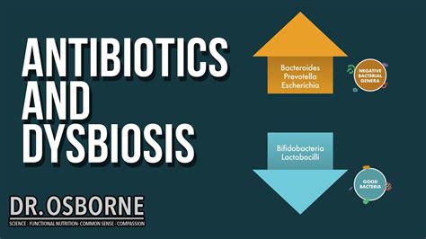 Antibiotics And Dysbiosis Youtube