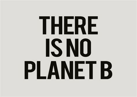 Kaufen There Is No Planet B Poster Online Dearsamde