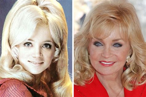 20 Classic Female Celebrities Who Aged Flawlessly Will Leave You