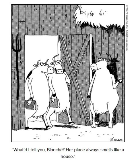 New The Far Side Daily Dose Comics That Will Boost Your Mood 15 New