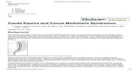 Cauda Equina And Conus Medullaris Syndromesdocshare01docsharetips