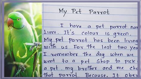 How To Write An Essay About My Pet Parrot My Pet Parrot My Pet