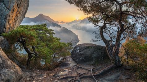 South Korea Mountain With Clouds And Tree Roots During