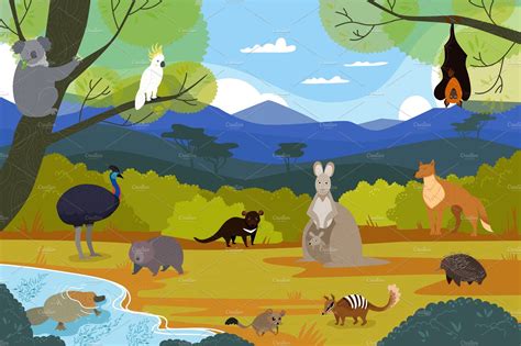 Australian Animals In Natural Animal Illustrations ~ Creative Market