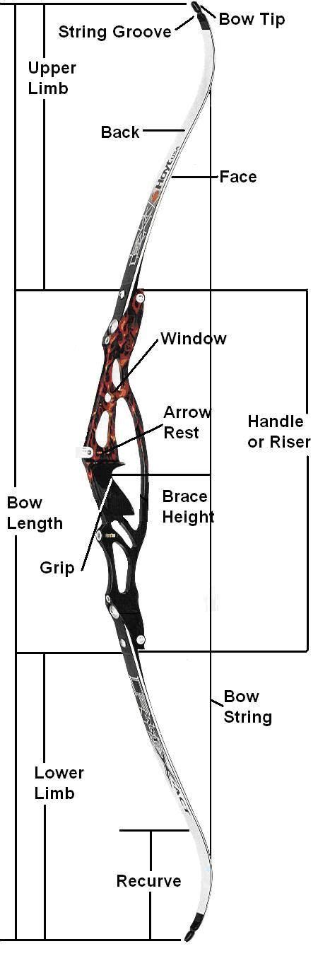 Recurve Bow Find Local Archery Lessons At Archery