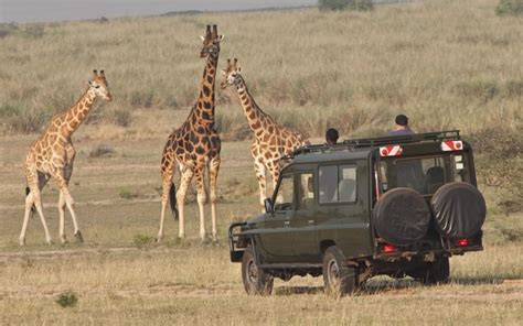 3 Days Akagera National Park Rwanda Wildlife Safari Tour Rwanda