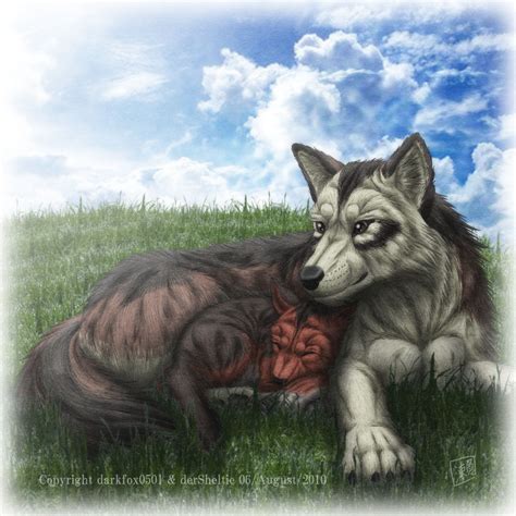 Pup And Father Wolf By Sheltiewolf On Deviantart