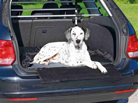 Trixie Car Boot Dog Bed Pets Plus Pet Shop Cork