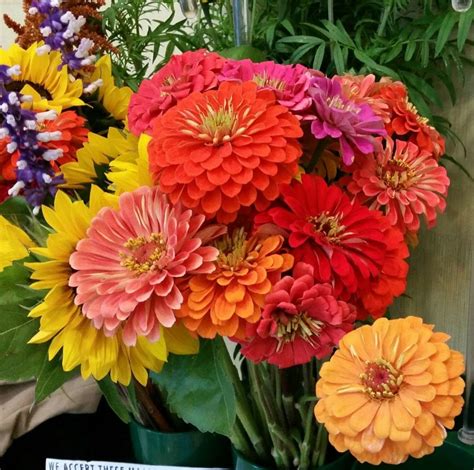 Simply flower garden is all about flowers, gardens, garden lovers, flower garden pic and landscaping too! Fresh Cut Flower Farm Pick-up - The Gardener's Workshop
