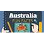 Australia Fun Facts Infographic  Only