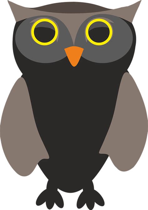 Sowa Owls Bird · Free Vector Graphic On Pixabay