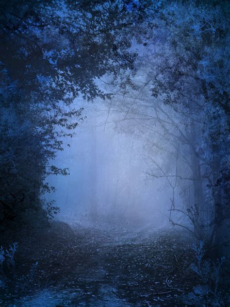 Unrestricted Mystery Woods Background 02 By Frozenstocks On Deviantart