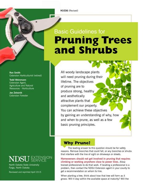 Basic Guidelines For Pruning Trees And Shrubs Docslib