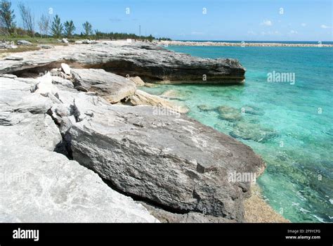 La Vue De Lérosion De La Côte De Lîle De Grand Bahama Avec Des Signes