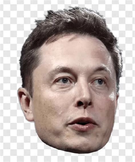Elon Musk Png Image High Quality Transparent Background Free Download PNG Images