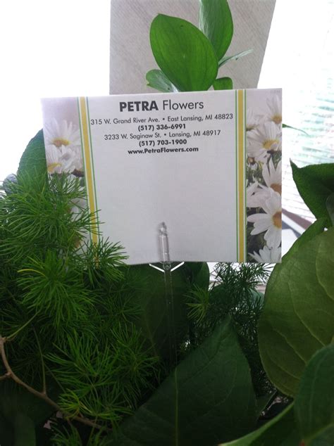 We did not find results for: Petra Flowers Lansing Mi / Half Off At Petra Flowers Petra ...