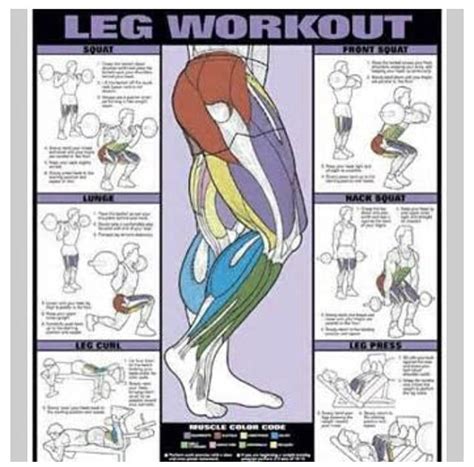Nice Chart For Leg Muscle Workout Posters Workout Chart Leg Workout