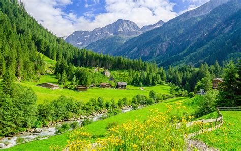 Alpine Green Landscape Green Meadows Mountain River Peaks Alpes Austria