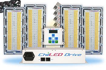 Check spelling or type a new query. Products Archive - LED Grow Lights - Commercial Grower Max Yields | ChilLED Tech