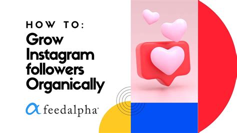 How To Grow Instagram Followers Organically Feedalpha Social Media
