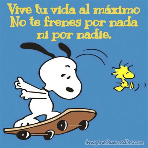 Total 70 Imagen Snoopy Imagenes Con Frases Abzlocalmx